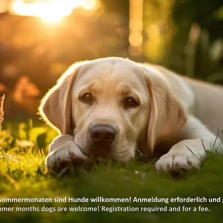 Lägenhet Landhaus Winkl