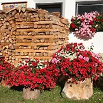 Winkl